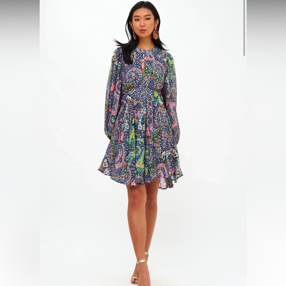 Oliphant Tuckernuck Balloon Sleeve Mini Dress Size medium